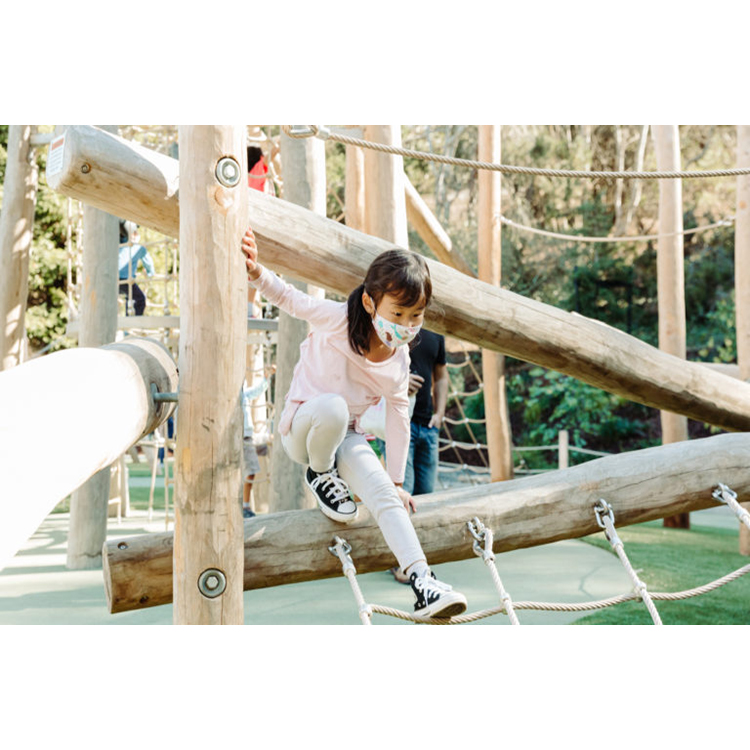 Aire de jeux pour enfants, ens - Kids Outdoor Climbing Frame avis et prix